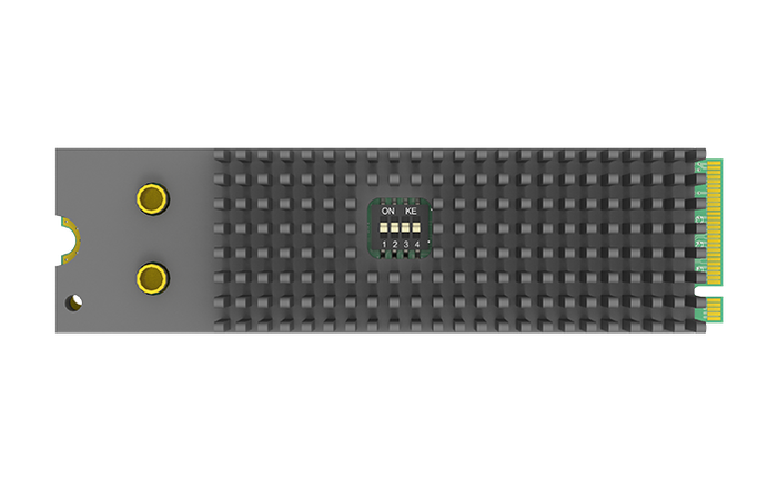 Magewell Eco Capture Dual SDI M.2