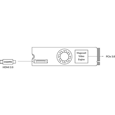 Magewell Eco Capture HDMI 4K Plus M.2