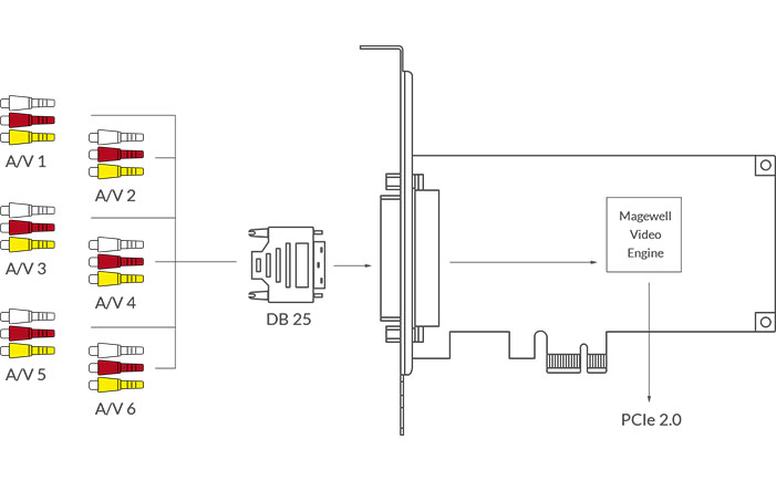 Magewell Pro Capture Hexa CVBS