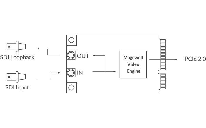 Magewell Pro Capture Mini SDI