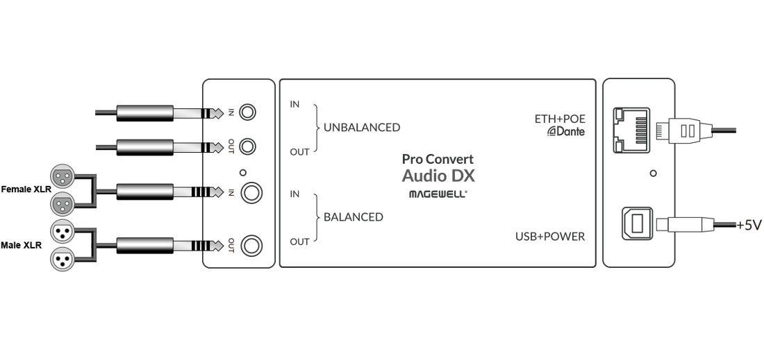 Magewell Pro Convert Audio DX